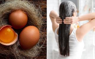 5 tips phục hồi tóc khô xơ chẻ ngọn từ nguyên liệu có sẵn trong nhà bếp